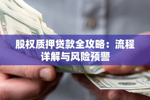 北京股权质押贷款全攻略：流程详解与风险预警