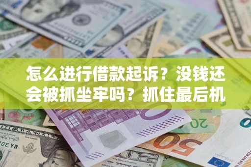 北京怎么进行借款起诉？没钱还会被抓坐牢吗？抓住最后机会！