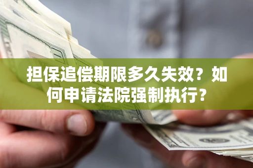 北京担保追偿期限多久失效？如何申请法院强制执行？