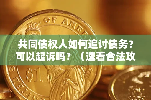 北京共同债权人如何追讨债务？可以起诉吗？（速看合法攻略）