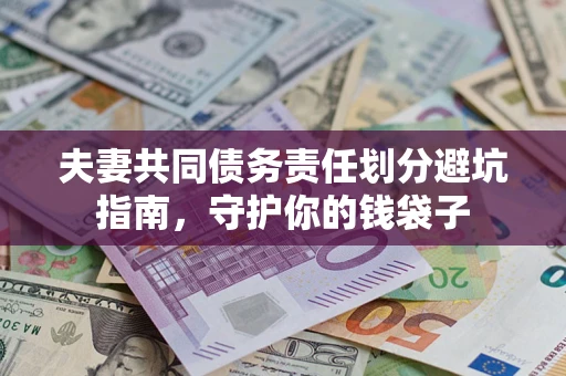 北京夫妻共同债务责任划分避坑指南，守护你的钱袋子